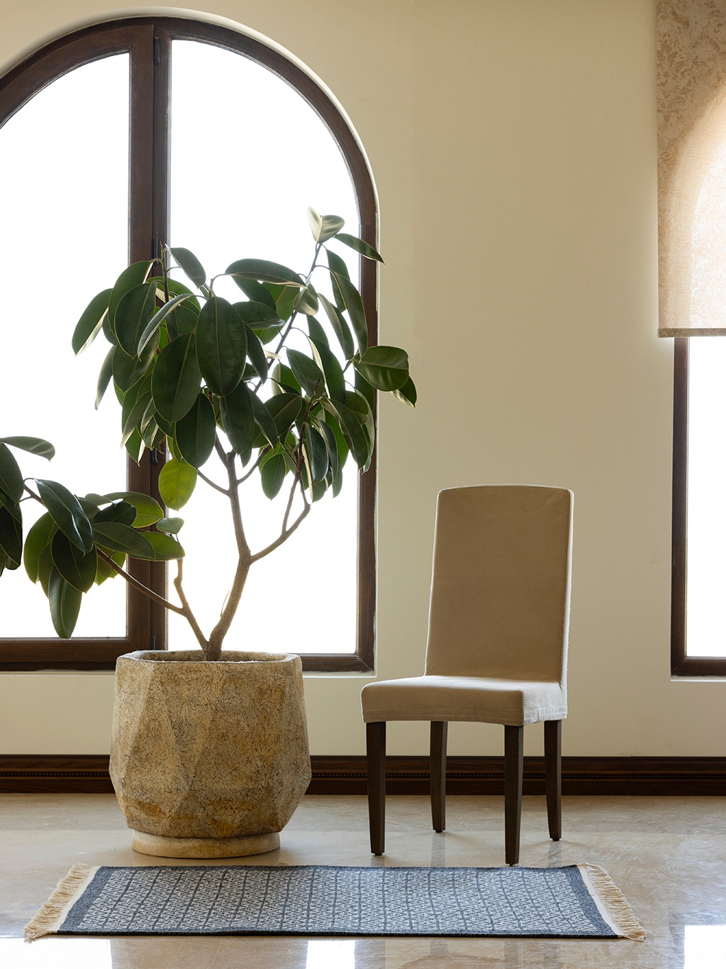 تیشتر - Image 2
